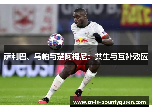萨利巴、乌帕与楚阿梅尼：共生与互补效应