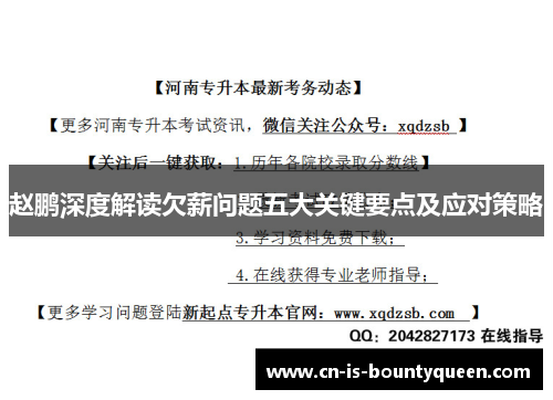 赵鹏深度解读欠薪问题五大关键要点及应对策略