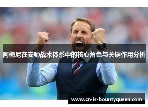 阿梅尼在安帅战术体系中的核心角色与关键作用分析