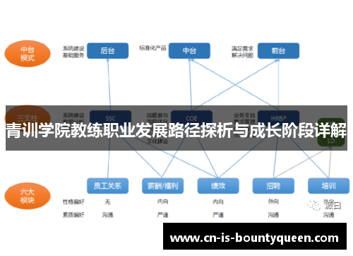 青训学院教练职业发展路径探析与成长阶段详解